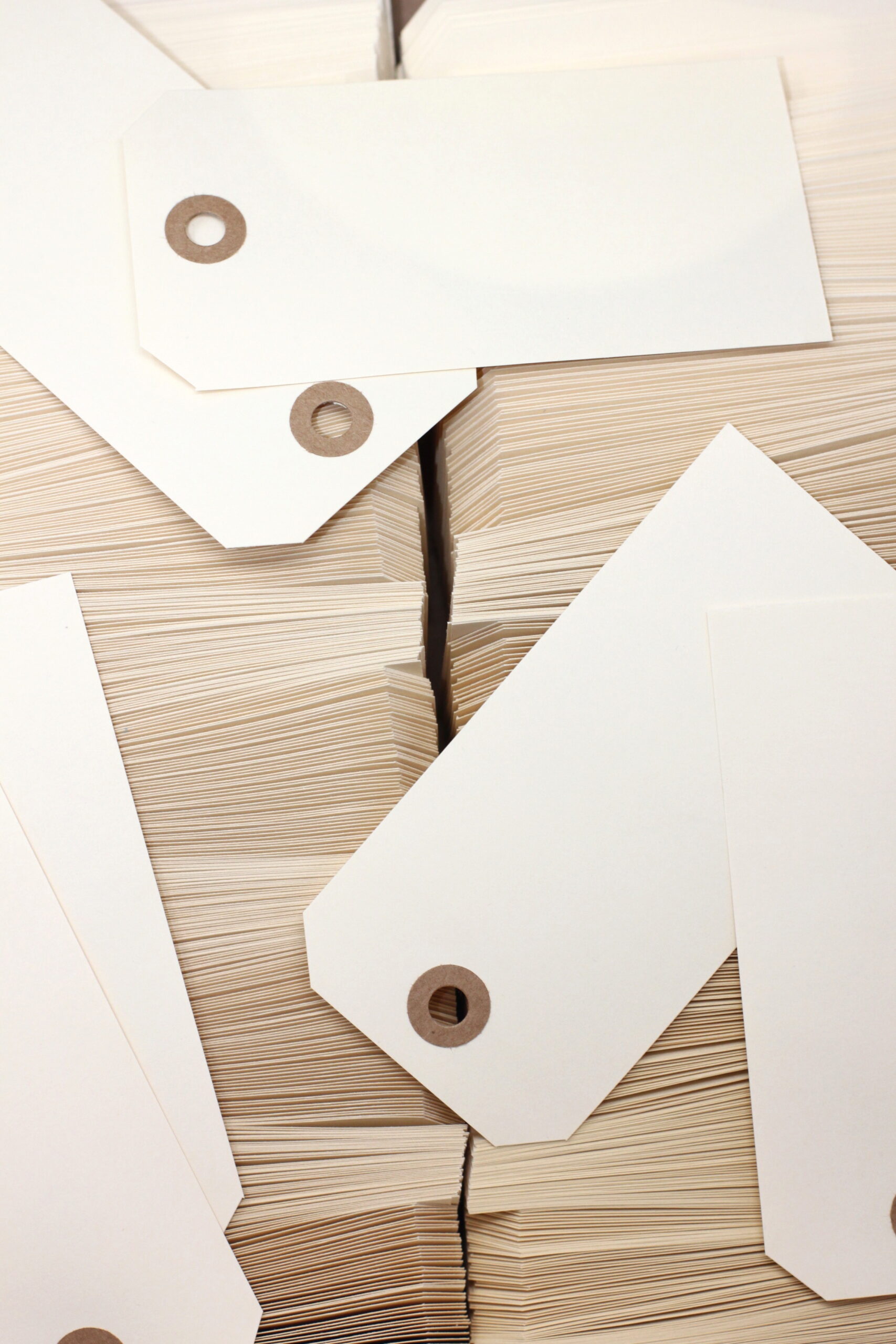 9faa1c96fdea1755bd3932044a14447d