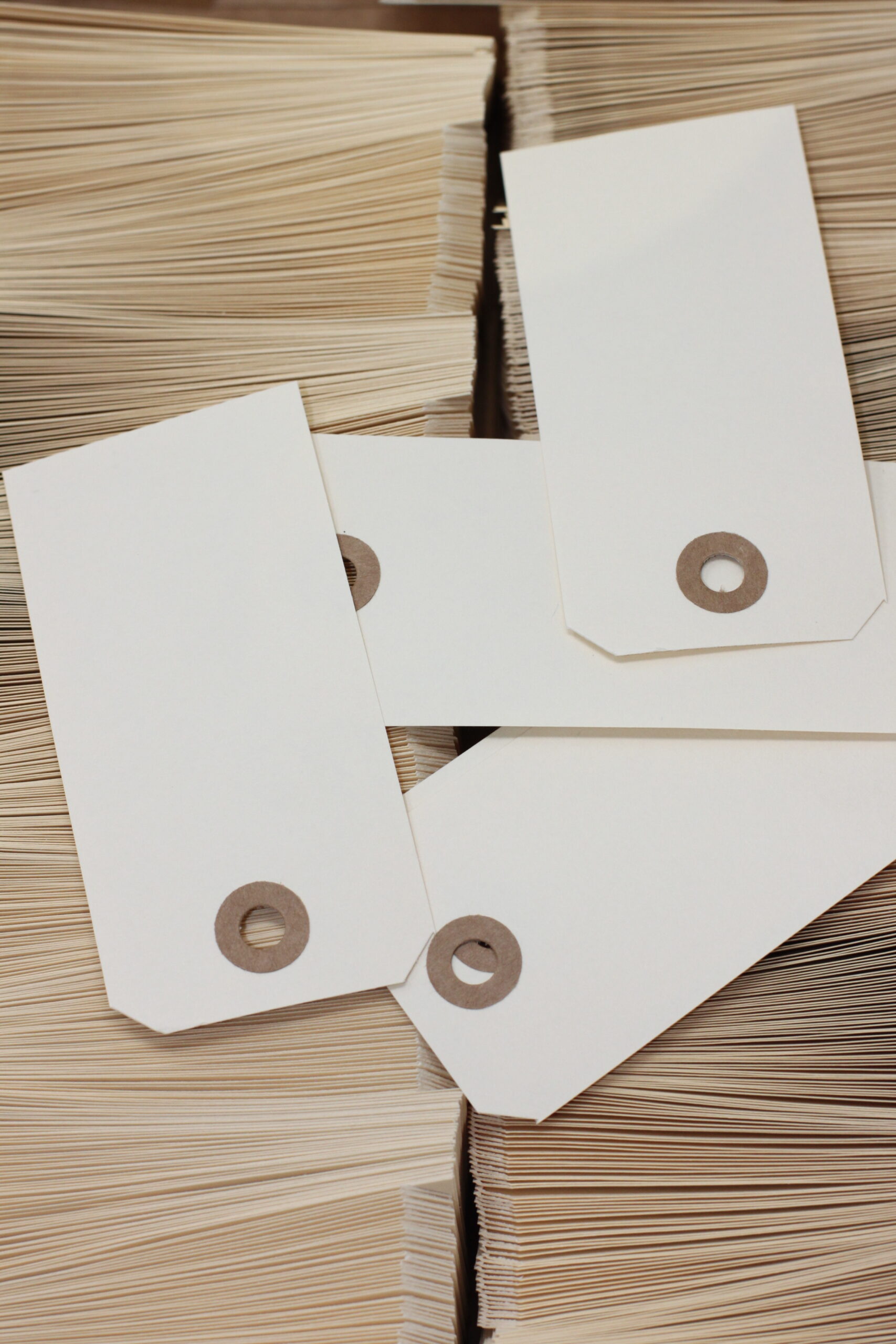 a221c6f7e5089577d747ad8325ef0545