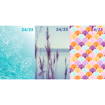 STUDIEKALENDER 2024/2025 3 ASS. DESIGNS
