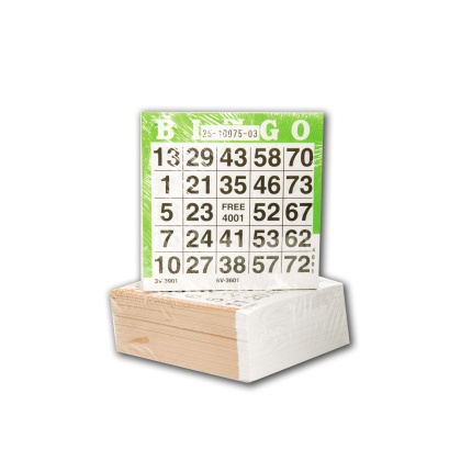 BINGO KORT 500 ARK