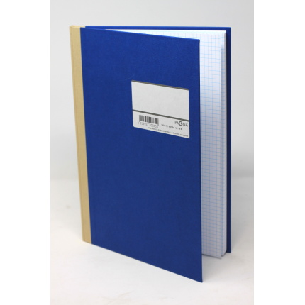PROTOKOL PAGNA - A4 KVADRERET BLÅ