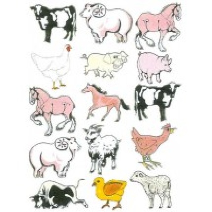 STICKERS GÅRDENS DYR ASS MOTIVER