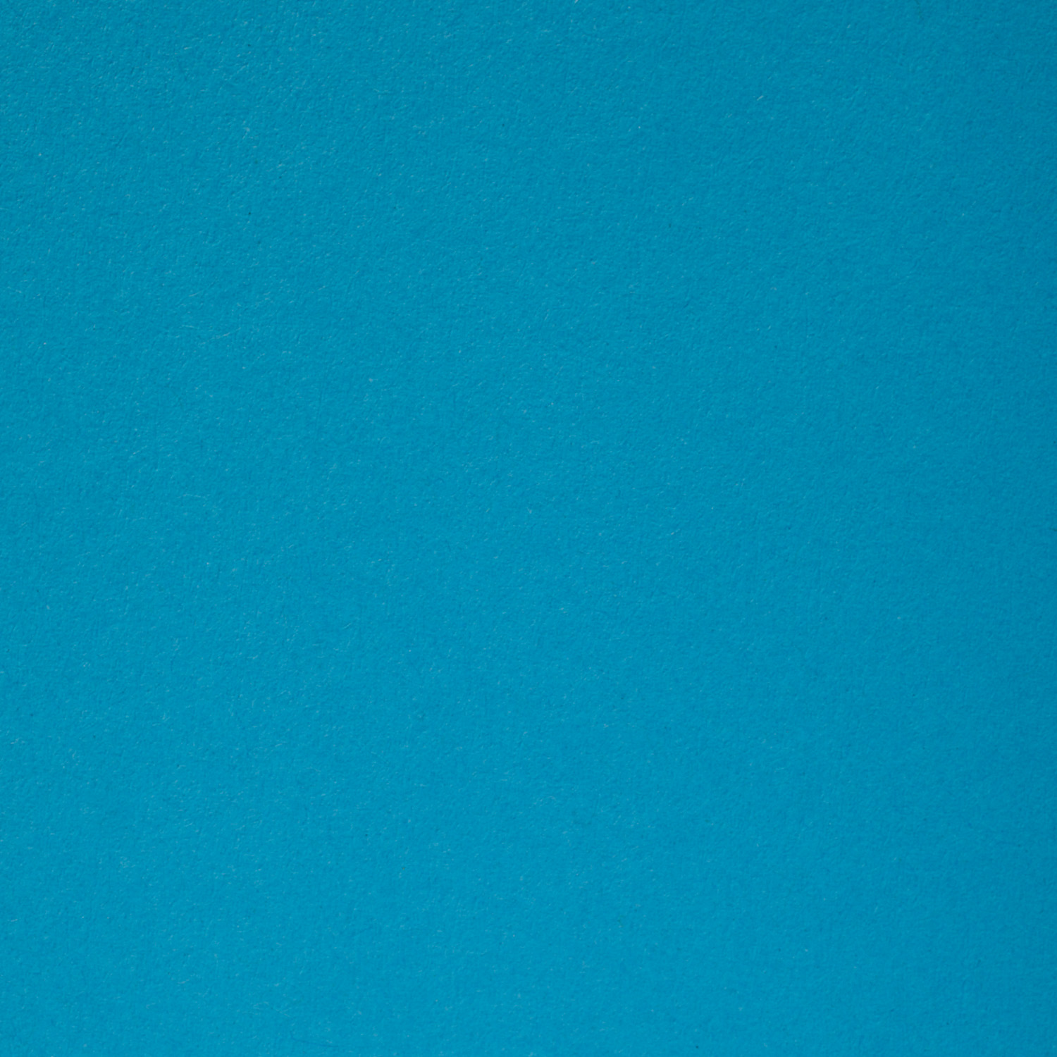 c180d1c5c2d58be2ebd37afe0209b863