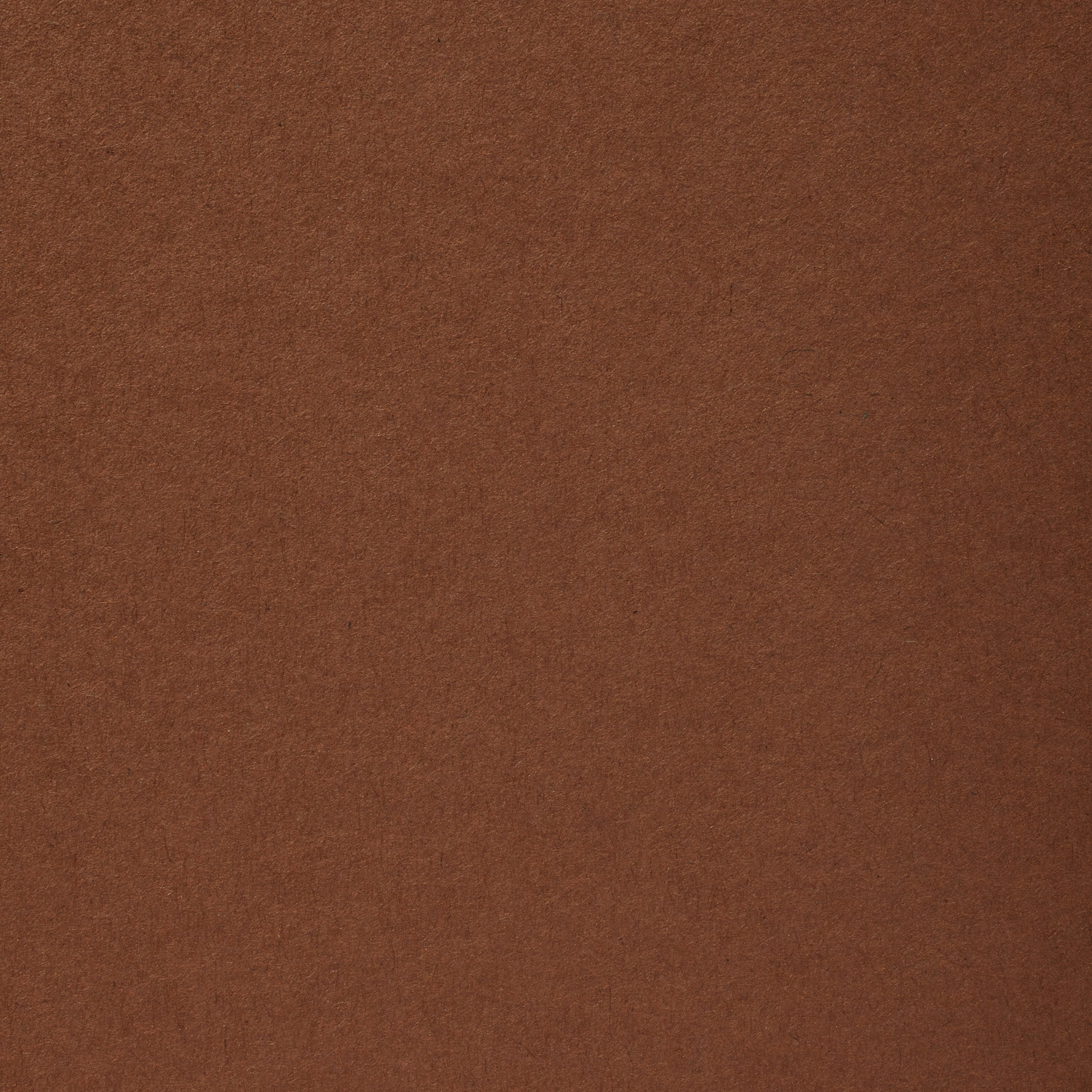 438ce069ee7f5a25f8704e6bdac99730