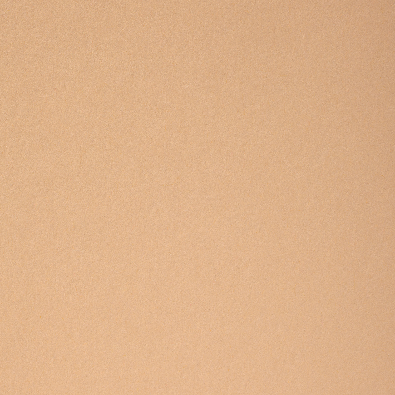 b094d91a520c3d0883a94ad31d7d501e