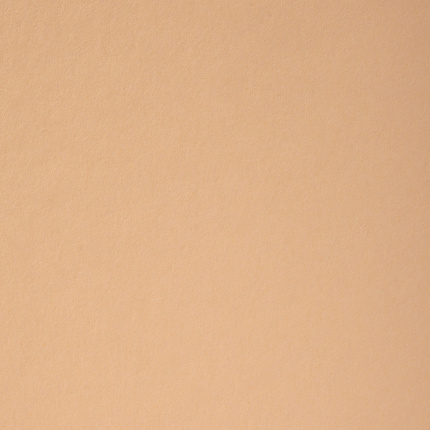 A-4 KARTON 20 ARK 220 G SANDBRUN