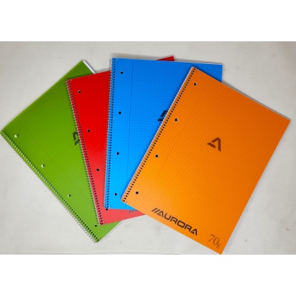 KOLLEGIEBLOK - A4 - TERN (PP COVER) (129805PP)