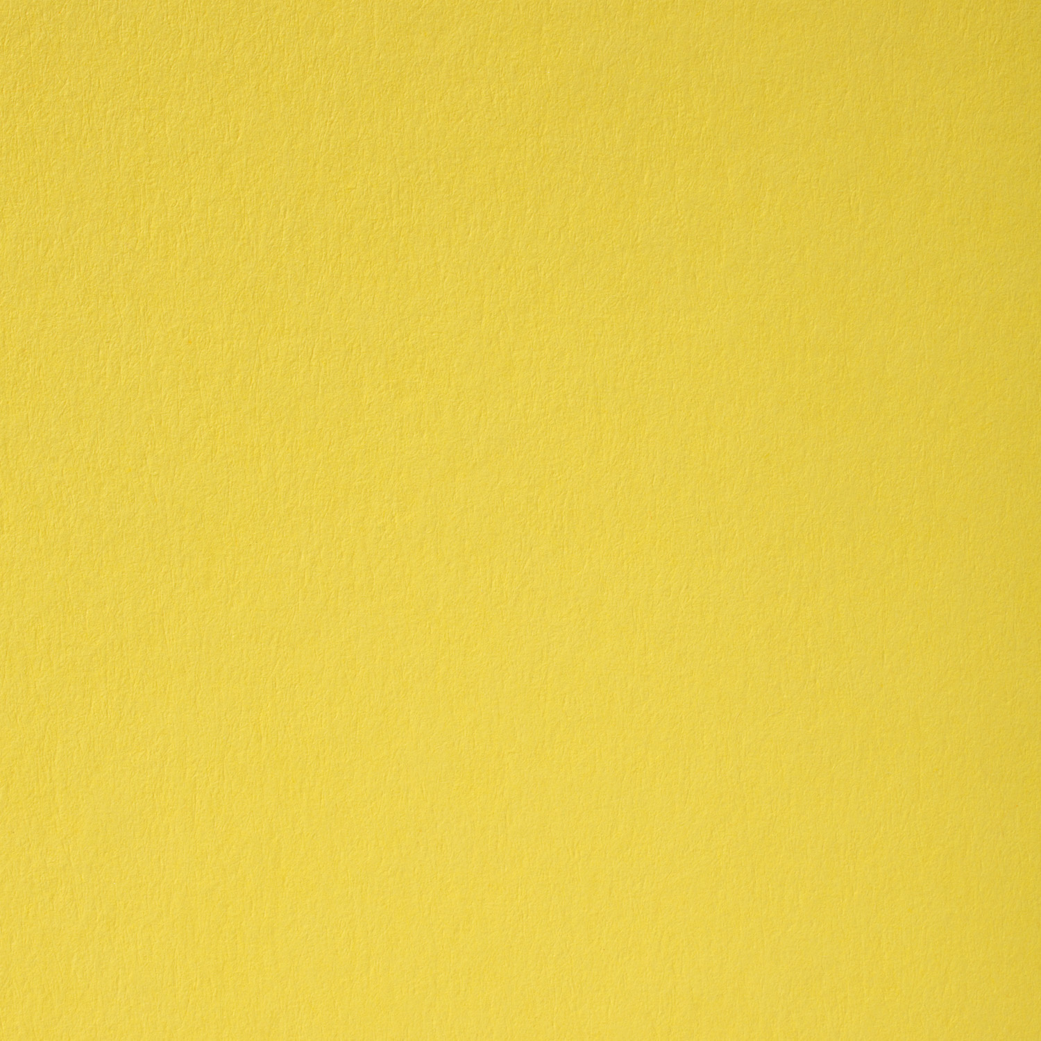 b4719e9a2f7069c8f9601b6a7d3ed477