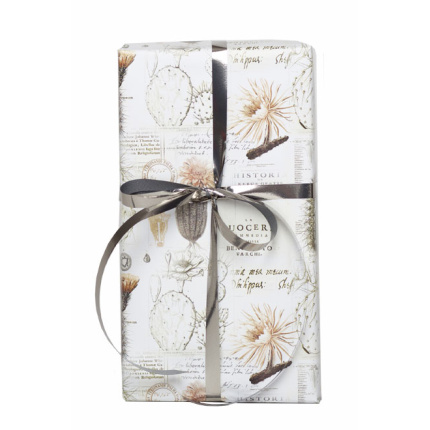 ØKONOM 57 CM "CACTUS" 7 KG 154M