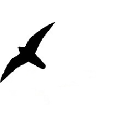 FUGLESKRÆMMER - SORT 19,5 X 25 CM