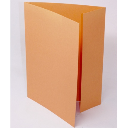 Mappe DKF-105/3, folio - ORANGE