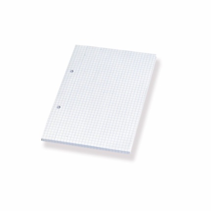 STANDARDBLOK A5 - TERN. (2 STK) CA.100 BLADE (32)