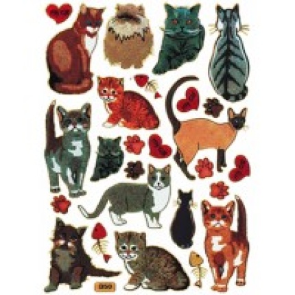 STICKERS KATTE  ASS MOTIVER