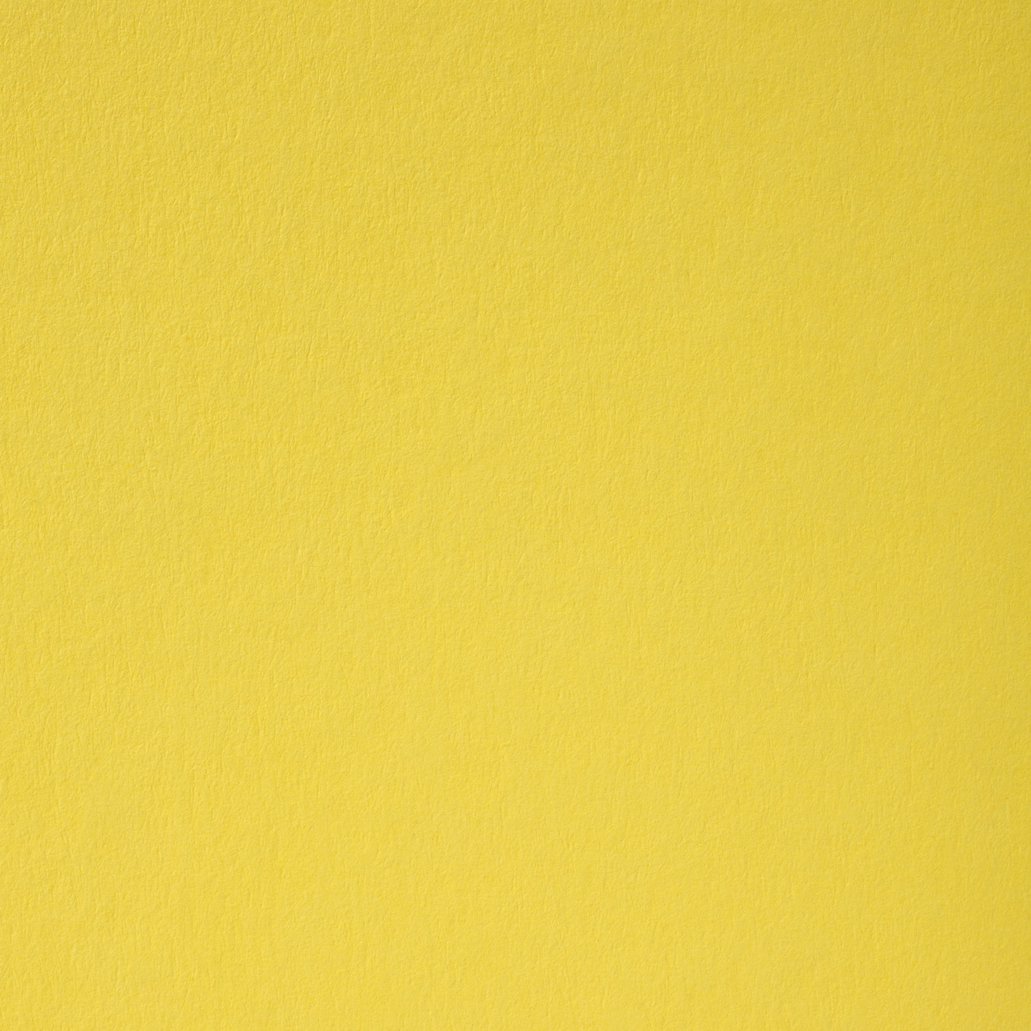 2e2b84c3681200db096d4816633bf062