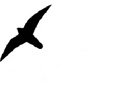 42d5d559f6346a16af735b7e59684cea