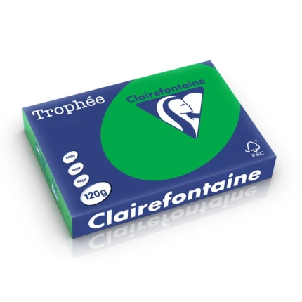KOPIPAPIR A4 120 G. 250 ARK - GRØN