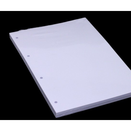 STANDARDBLOK A4 BLANK 2 STK CA 100 BLADE ( 30 )