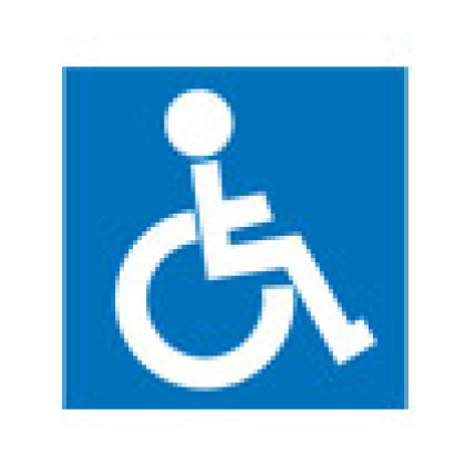 PICTOGRAM HANDICAP RULLESTOL